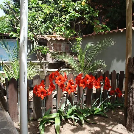 El Paraiso